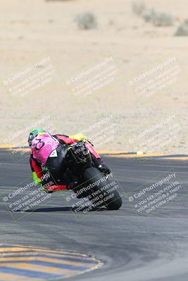 media/Mar-10-2024-SoCal Trackdays (Sun) [[6228d7c590]]/9-Turn 8 Backside (1150am)/